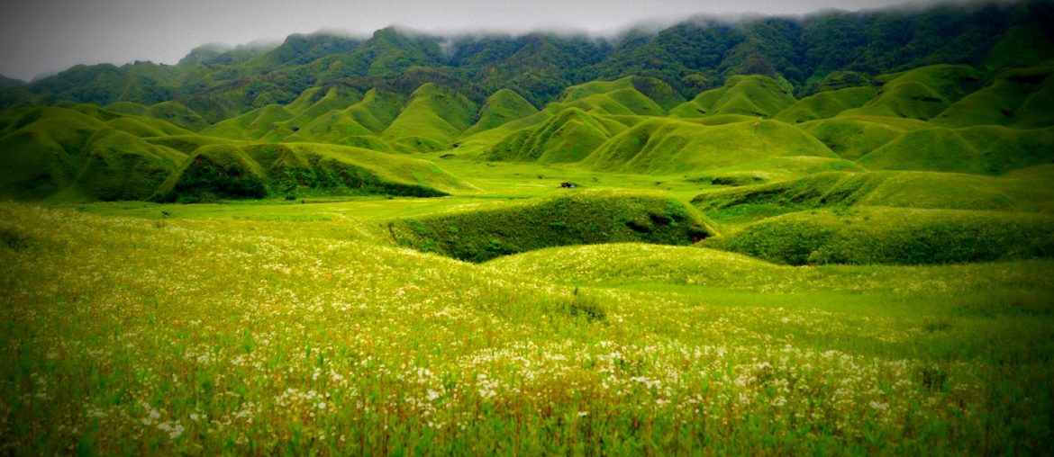 Dzukou Valley, Nagaland