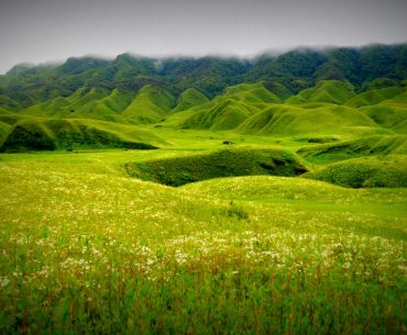 Dzukou Valley, Nagaland