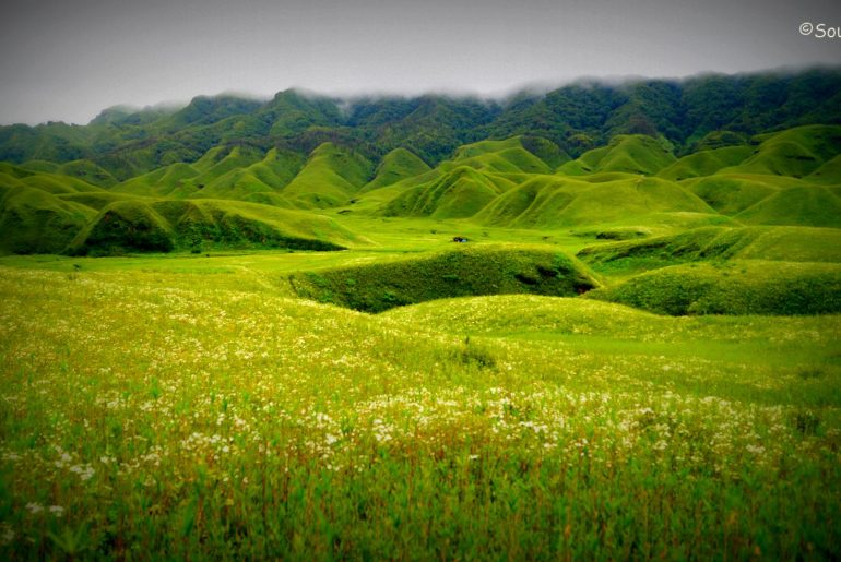 Dzukou Valley, Nagaland