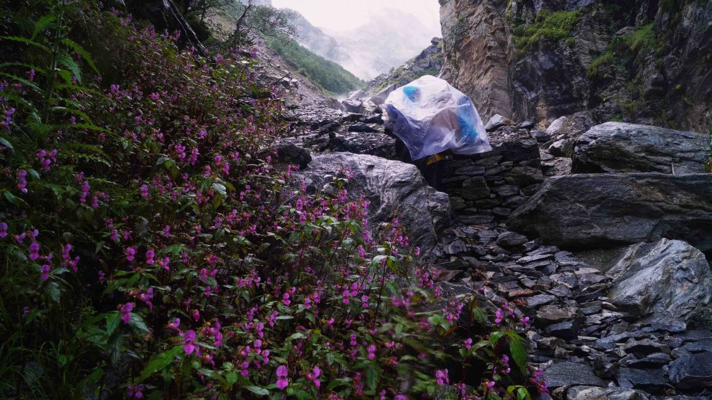 Valley of Flowers, Uttarakhand