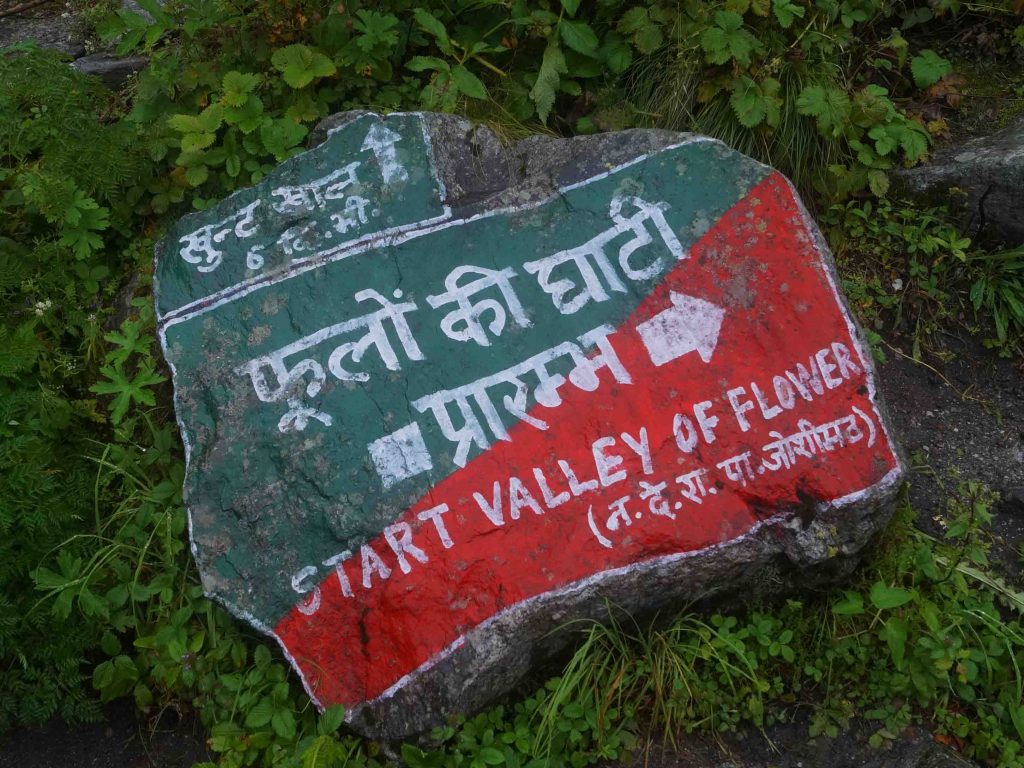 Valley of Flowers, Uttarakhand