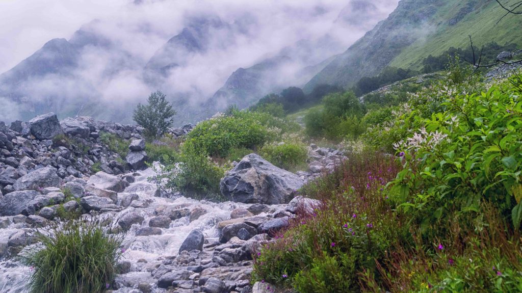 Valley of Flowers, Uttarakhand 