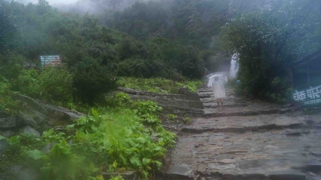 Valley of Flowers, Uttarakhand