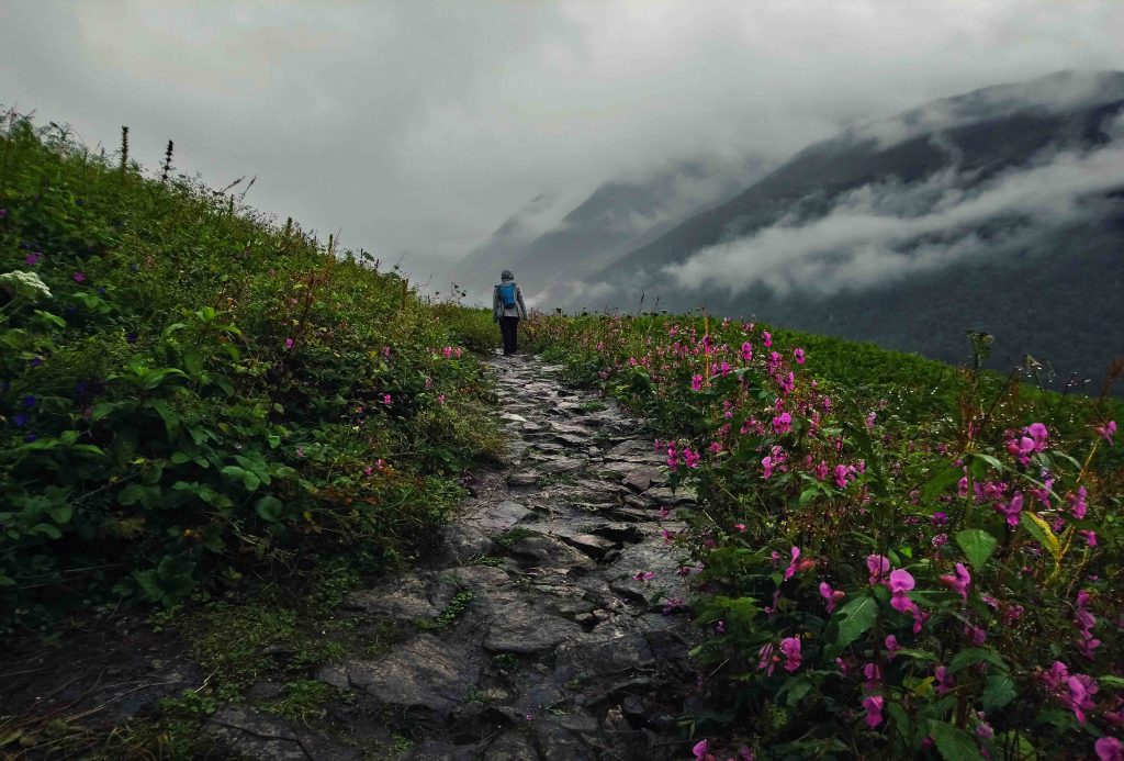 Valley of Flowers, Uttarakhand