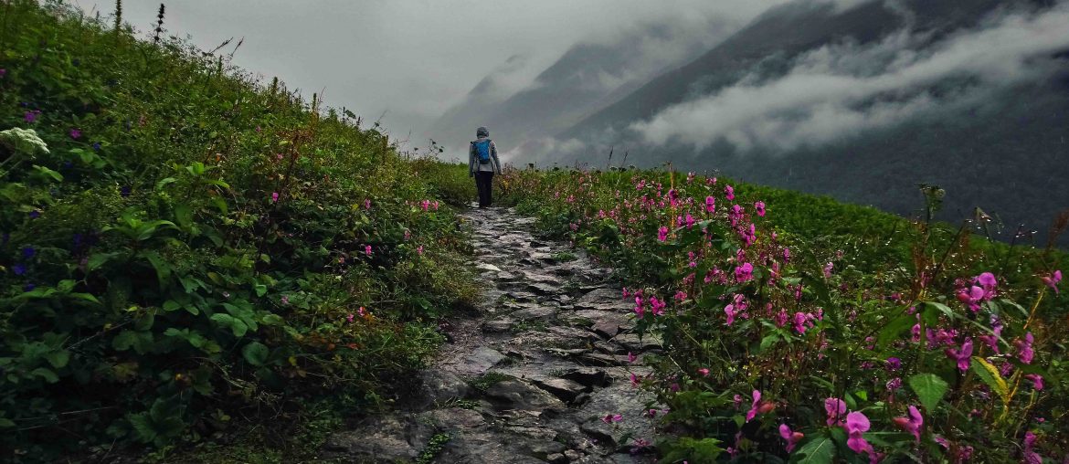 Valley of Flowers, Uttarakhand