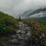 Valley of Flowers, Uttarakhand