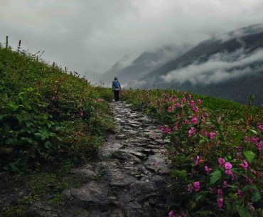 Valley of Flowers, Uttarakhand