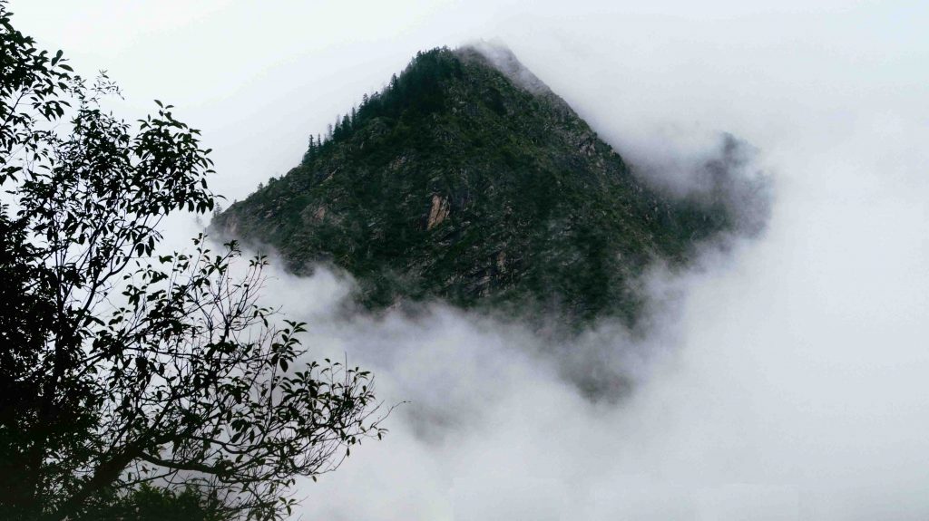 Valley of Flowers, Uttarakhand