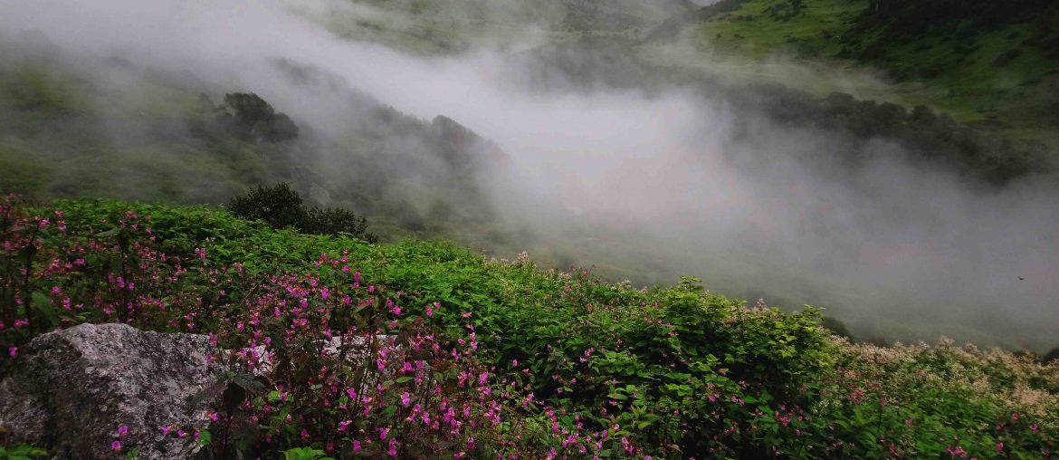 Valley of Flowers, Uttarakhand