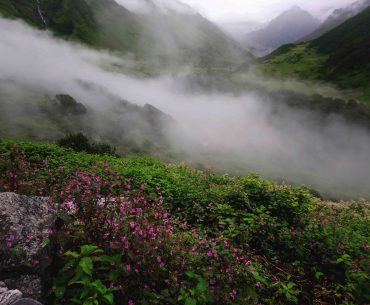 Valley of Flowers, Uttarakhand