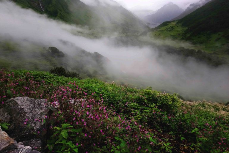 Valley of Flowers, Uttarakhand