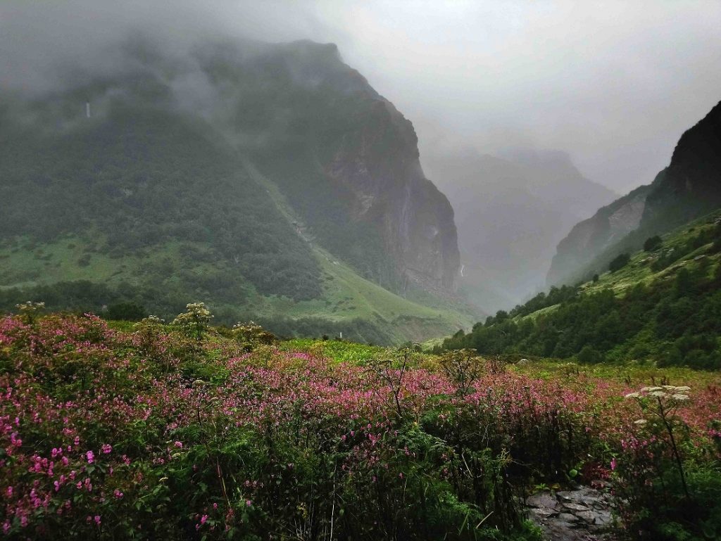 Valley of Flowers, Uttarakhand