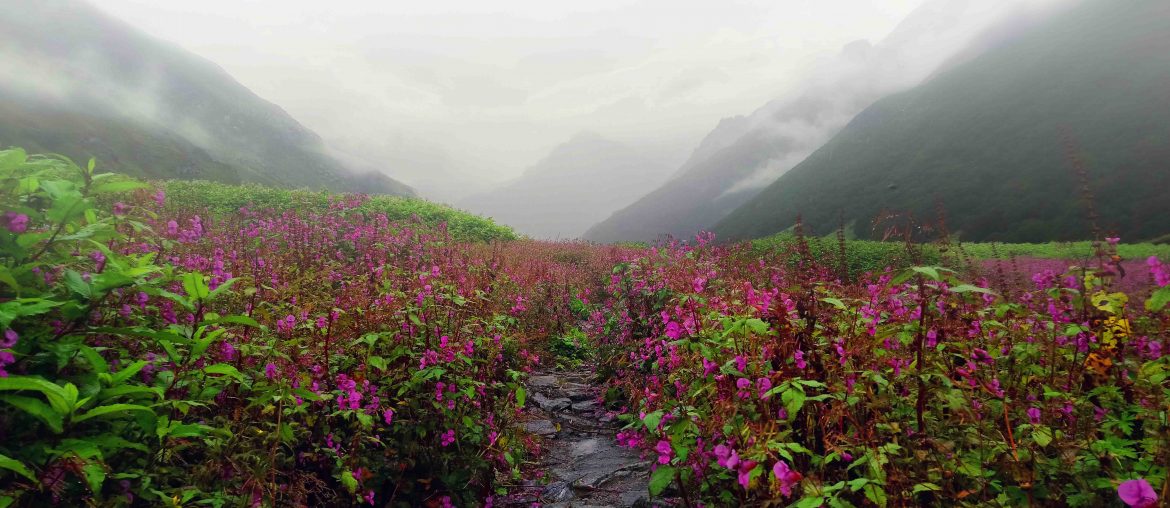 Valley of Flowers, Uttarakhand