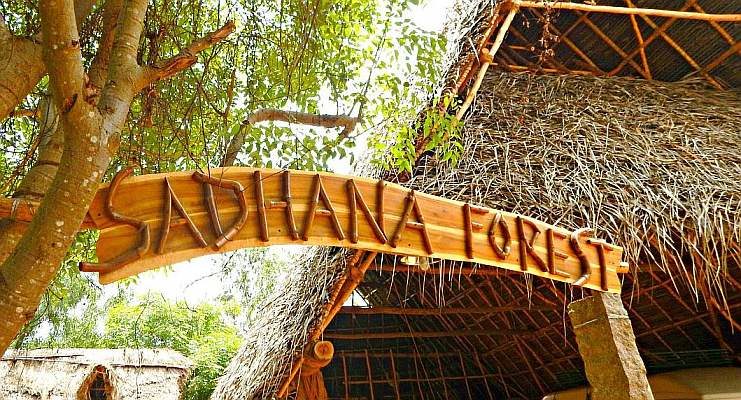 Sadhana Forest, Auroville, Pondicherry, Tamil Nadu