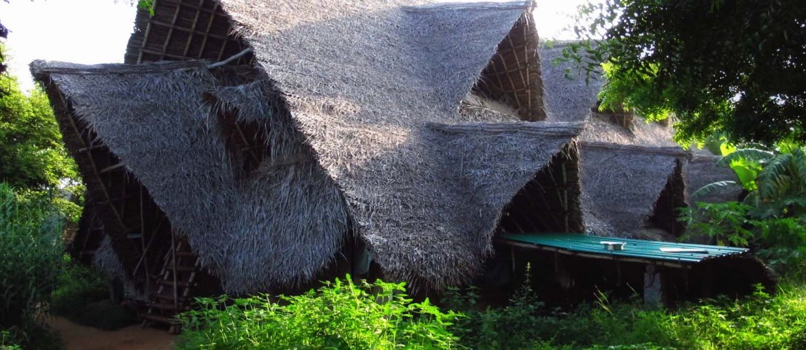 Sadhana Forest, Auroville, Pondicherry, Tamil Nadu