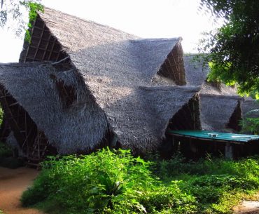 Sadhana Forest, Auroville, Pondicherry, Tamil Nadu