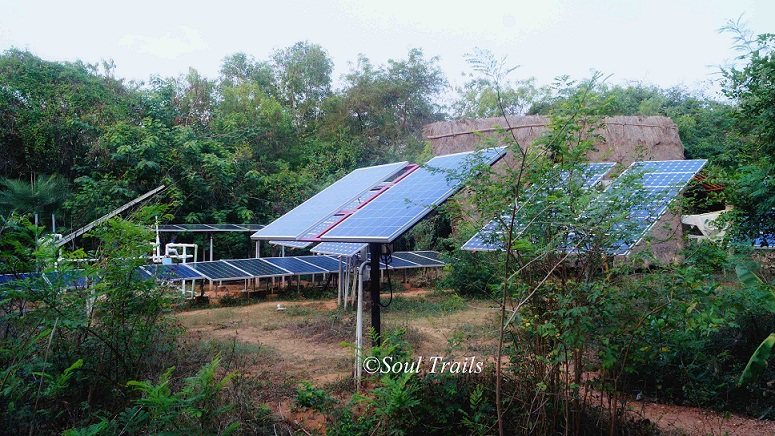 Sadhana Forest, Auroville, Pondicherry, Tamil Nadu