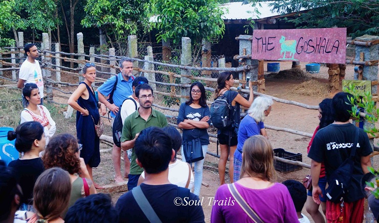 Sadhana Forest, Auroville, Pondicherry, Tamil Nadu