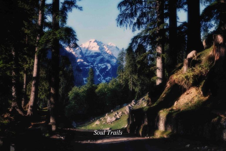 Sethan, Manali, Himachal Pradesh Soul Trails