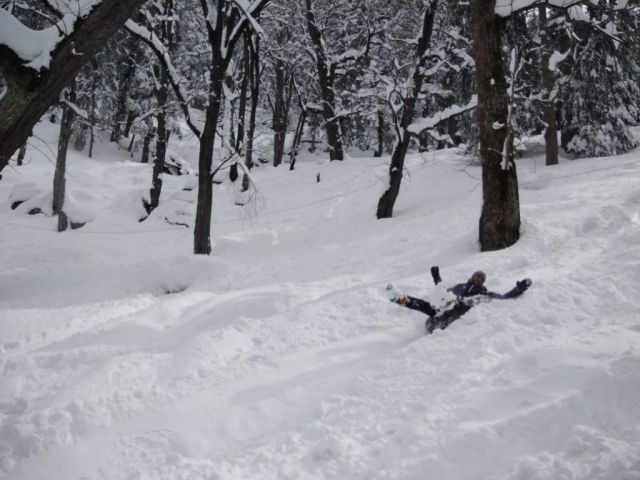 Sethan, Manali, Himachal Pradesh Soul Trails 