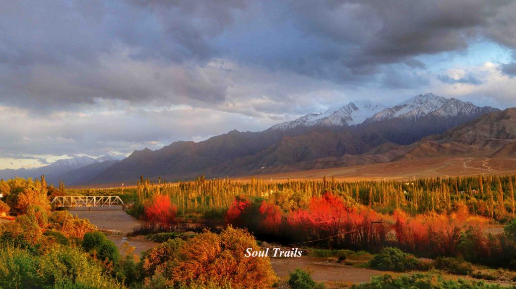 Letters from Leh, Leh, Ladakh, Soul Trails