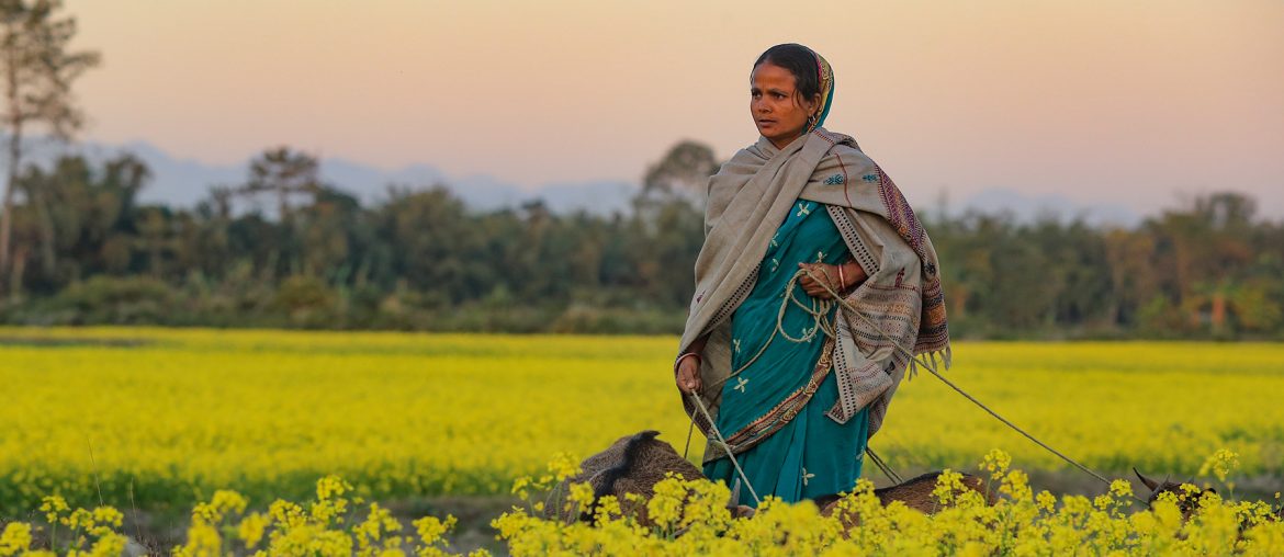 Bodoland, Assam,Bodo People, Bodo Cuisine, Bodo Culture, Bodoland Tourism, Ambassadors of Bodoland