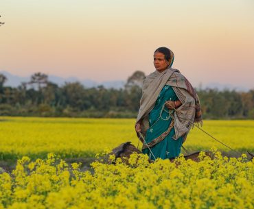 Bodoland, Assam,Bodo People, Bodo Cuisine, Bodo Culture, Bodoland Tourism, Ambassadors of Bodoland