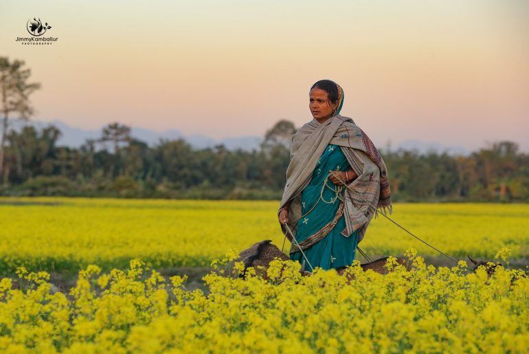 Bodoland, Assam,Bodo People, Bodo Cuisine, Bodo Culture, Bodoland Tourism, Ambassadors of Bodoland