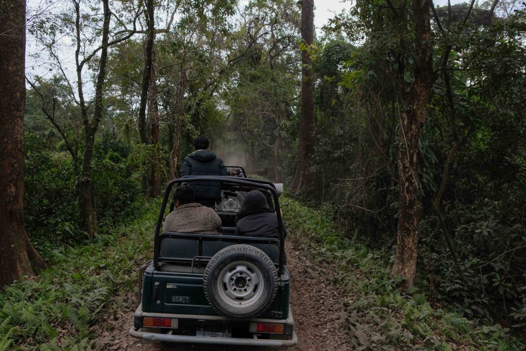 Manas National Park, Assam, Bodoland, Soul Trails