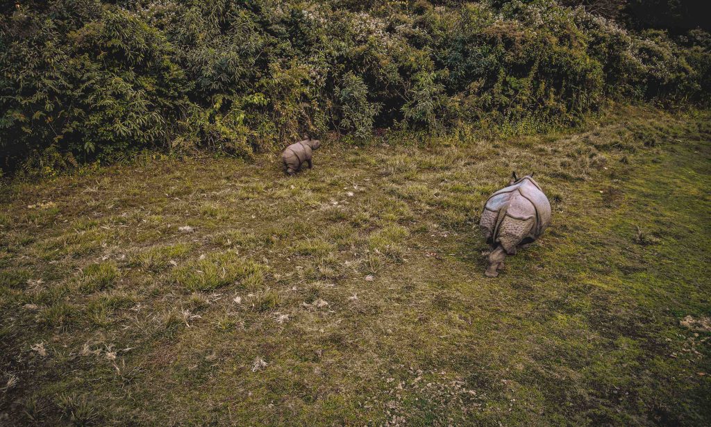 Manas National Park, Assam, Bodoland, Soul Trails